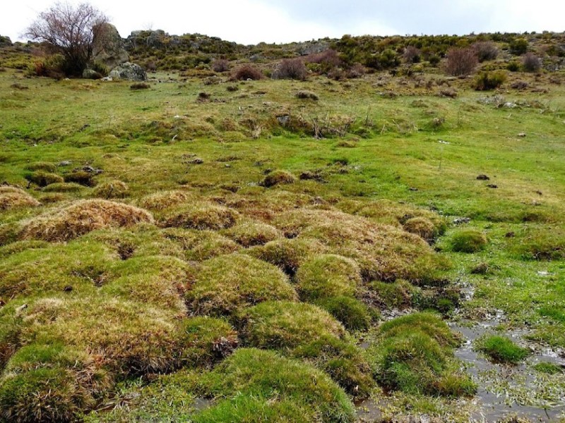 Estudio de la evolución paleoclimática a partir de las turberas