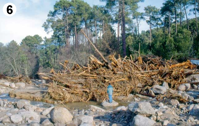 Aspecto del puente de Trampalones tras la riada, un poco aguas abajo del punto de la fotografía 4. Los troncos son de árboles de tamaño considerable. Y el puente es lo que está debajo y detrás del montón de árboles…  Imagen de Andrés Díez Herrero.