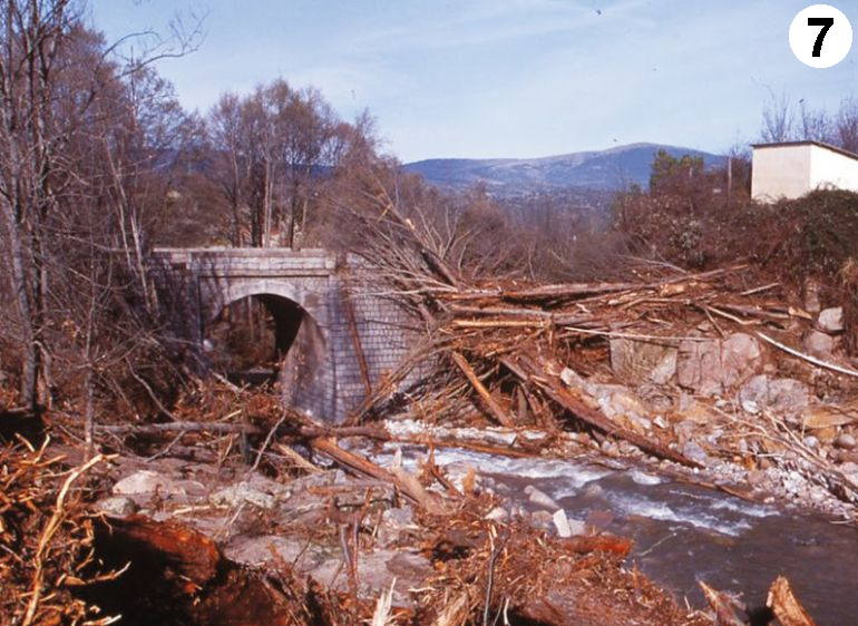 Depósito de árboles arrastrados por la riada en el puente de la Colonia de Venero Claro, ya cerca de la desembocadura con el río Alberche. Imagen de Andrés Díez Herrero