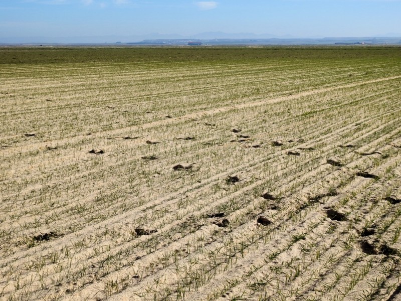 Un mar de dunas en La Moraña