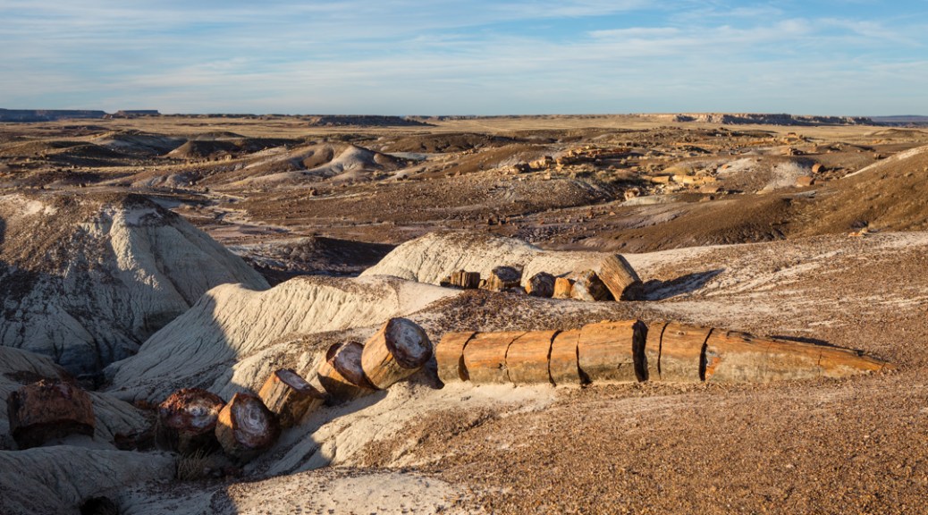 Petrified Forest National Park