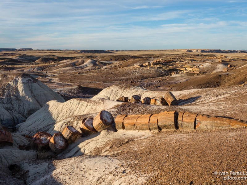 #Geopostales | Petrified Forest National Park (Arizona, USA)