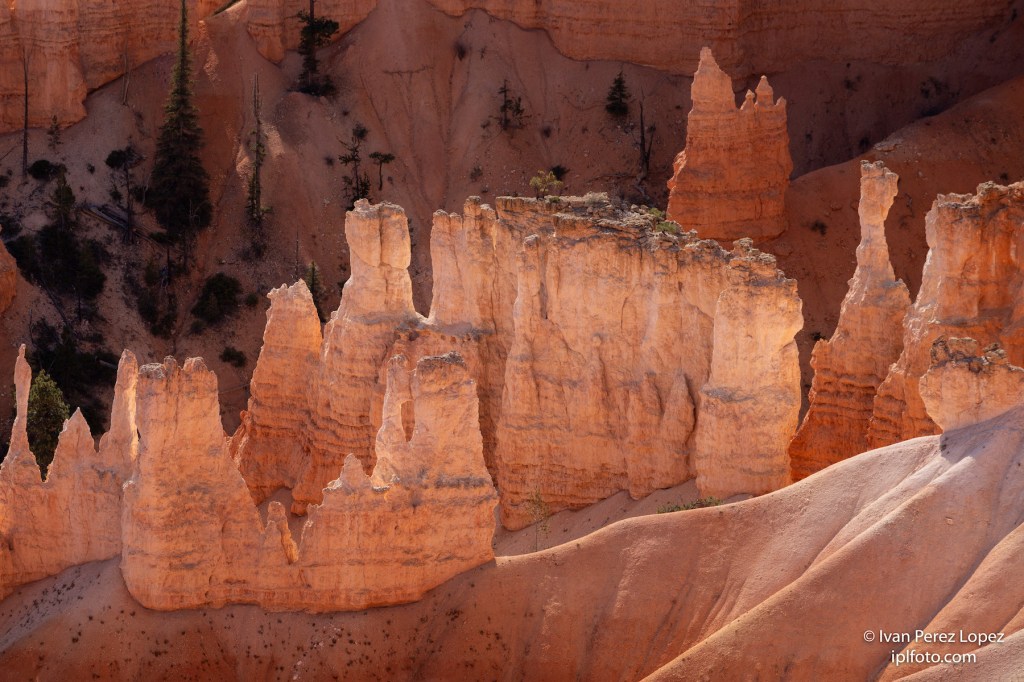 Detalle de las cárcavas en el paisaje kárstico del Bryce Canyon National Park, Utah, Estados Unidos. © Iván Pérez López (iplfoto.com)