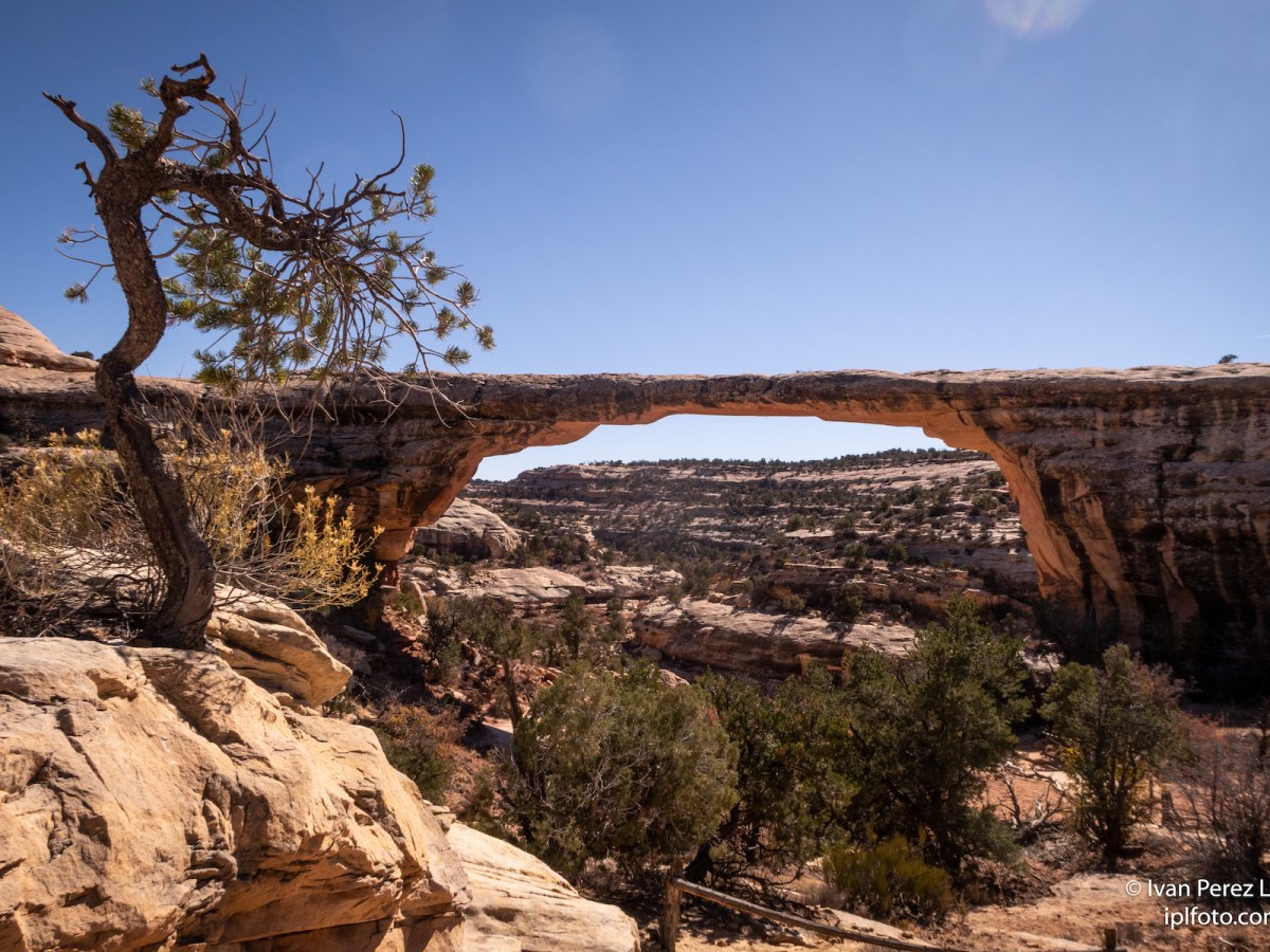 #Geopostales | Puentes de piedra en el Natural Bridges National Monument (Utah, USA)