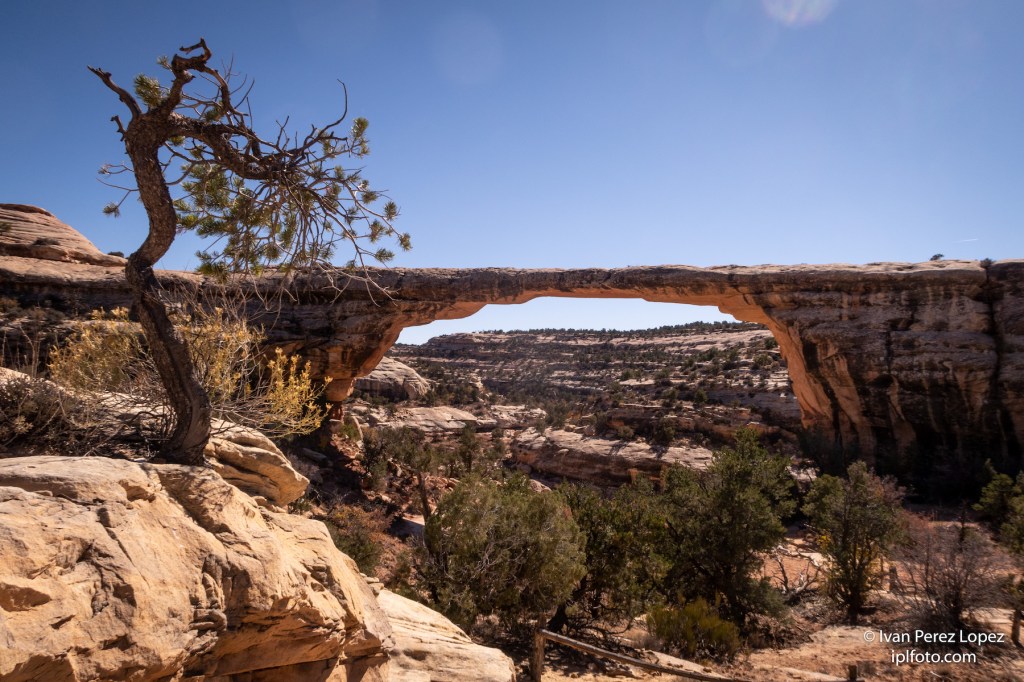 Puentes de piedra conocido como Owachomo bridge, en el Natural Bridges National Monument de Utah, Estados Unidos. © Iván Pérez López (iplfoto.com)
