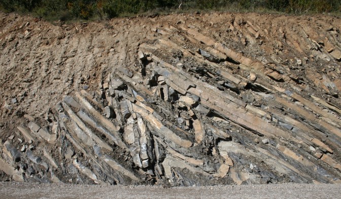 Talud al pie de un camino que nos muestra un conjunto de pliegues apretados en materiales carbonatados, como si estuvieran representados en un corte geológico. Los taludes son cortes geológicos "al natural". Cuenca de Jaca, Pirineo Oscense. Imagen: Javier Elez.