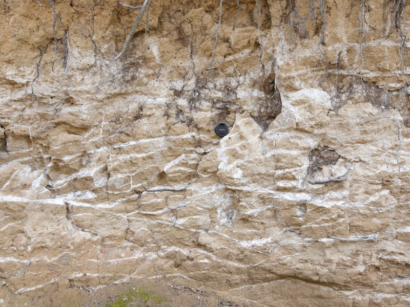 Raíces de carbonato. Calcretas y clima