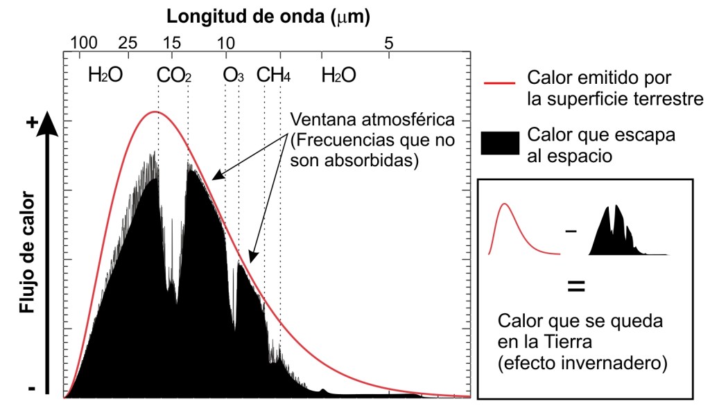 La curva roja representa la radiación en forma de calor emitida por la superficie terrestre y el área en negro la que escapa de la atmósfera al espacio. El área encerrada entre estas dos curvas representa el calor que ha sido retenido por los diferentes gases de efecto invernadero en la atmósfera. El vapor de agua (H2O) absorbe mucha radiación en los laterales del espectro, el CO2 absorbe en unas frecuencias muy concretas en el centro de la curva y el metano (CH4) en una longitud de onda más corta. En la ventana atmosférica el calor no es absorbido por ningún gas y por lo tanto escapa casi por completo al espacio (poca diferencia entre el área negra y la curva roja). Imagen: Javier P. T. Datos de Zhong & Haigh (2013)