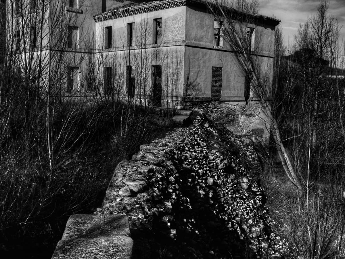 GEOLODÍA 23. ¿Dónde están los sedimentos que no llegan al mar?