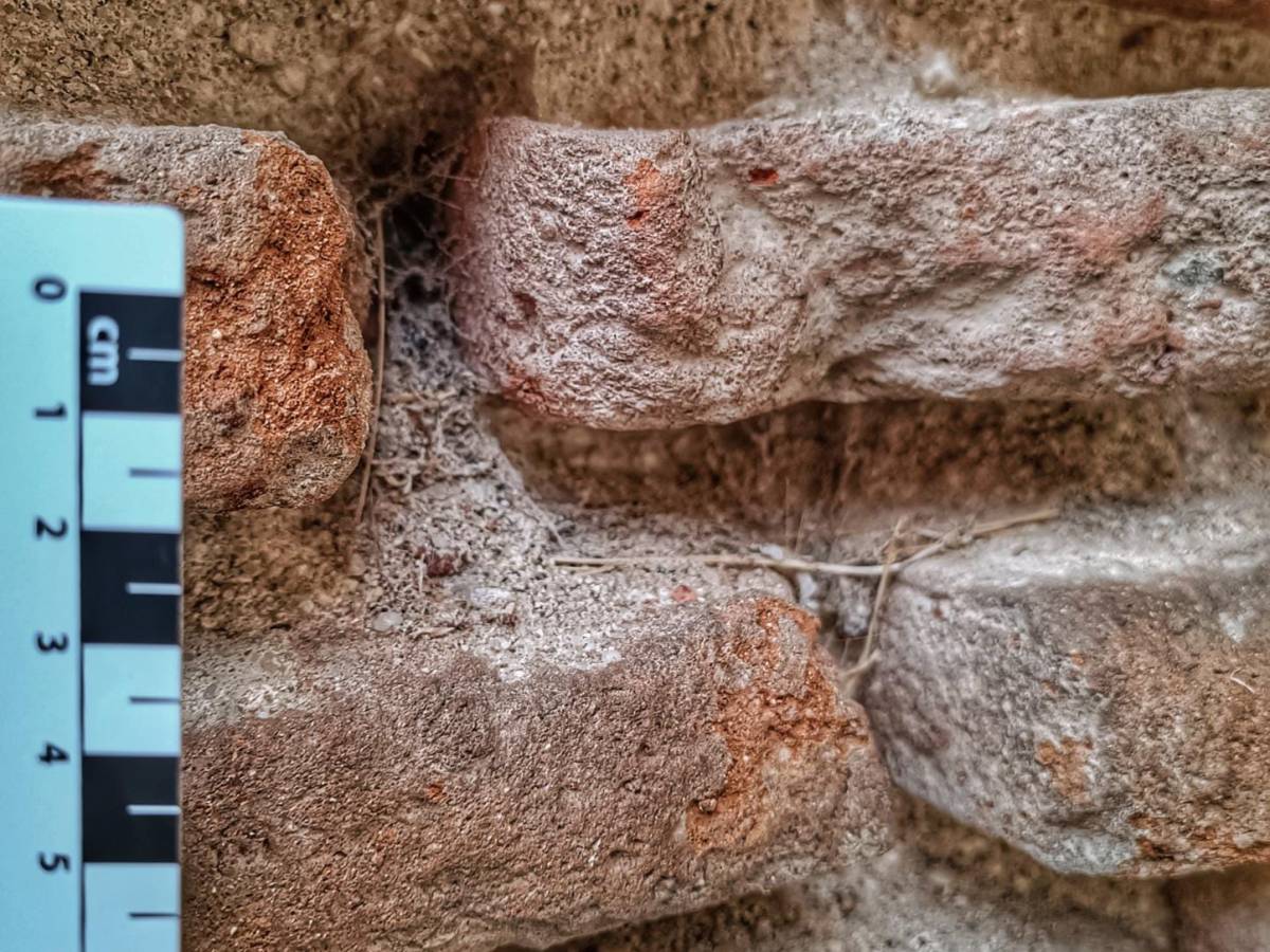 GEOLODÍA 23. La influencia de la geología en la arquitectura histórica