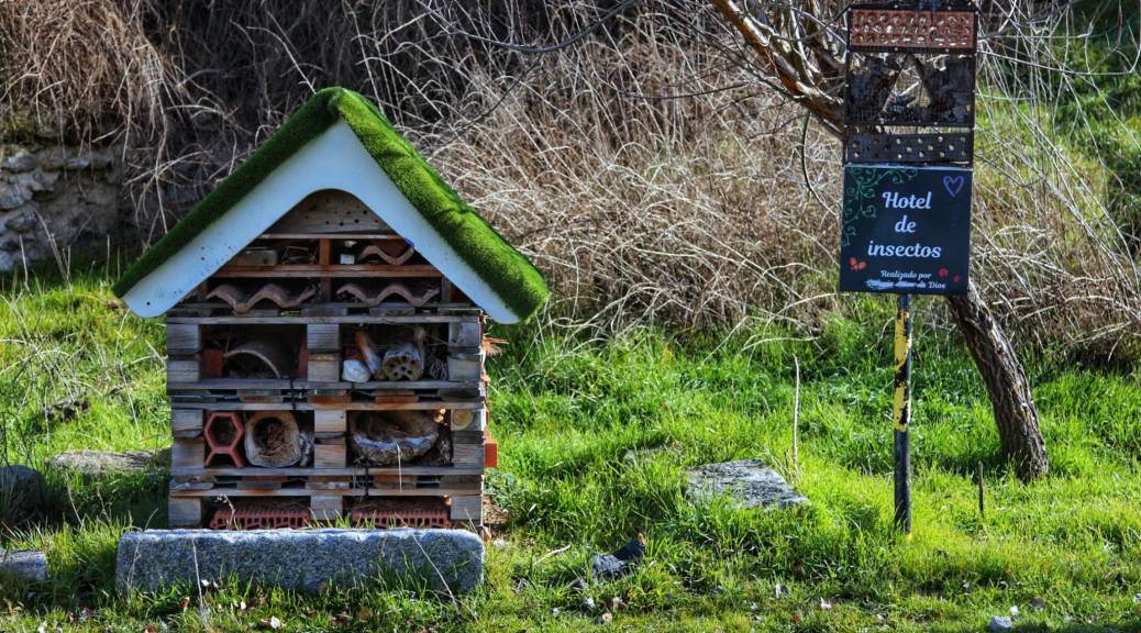 Hotel de insectos en la senda fluvial de Arévalo. Imagen Gabriel Castilla.