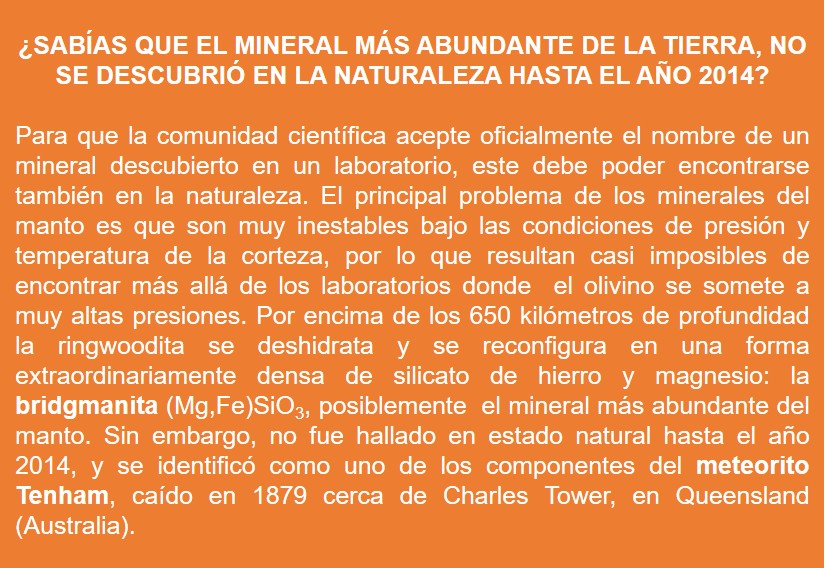 Imagen con fondo naranja que contiene un texto divulgativo en letras blancas y negritas en algunas partes. El título resalta en mayúsculas: "¿Sabías que el mineral más abundante de la Tierra no se descubrió en la naturaleza hasta el año 2014?".

El texto explica que para que la comunidad científica reconozca oficialmente un mineral descubierto en laboratorio, este debe hallarse también en la naturaleza. Muchos minerales del manto terrestre no se encuentran fácilmente en la superficie debido a que son inestables a las condiciones de presión y temperatura de la corteza. A profundidades mayores de 650 km, la ringwoodita se transforma en bridgmanita (fórmula: (Mg,Fe)SiO₃), un denso silicato de hierro y magnesio, posiblemente el mineral más abundante del manto. Aunque se conocía por síntesis, la bridgmanita no se identificó en estado natural hasta 2014, cuando fue hallada en un meteorito llamado Tenham, que cayó en 1879 en Queensland, Australia.