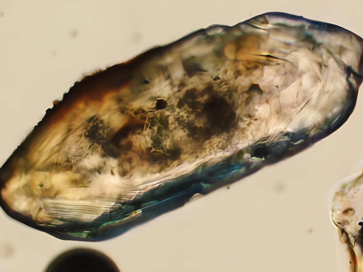 Dataciones uranio-plomo con circones: una ventana al pasado remoto de la Tierra