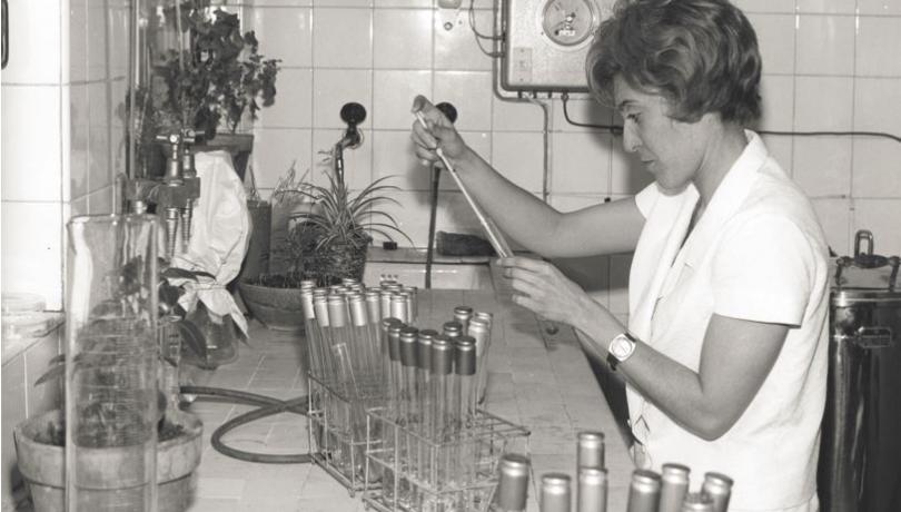 Qué se ve en general Fotografía en blanco y negro, en interior, tomada en un laboratorio. La escena muestra una mesa de trabajo larga y una pared al fondo cubierta con azulejos cuadrados claros. Persona y postura A la derecha aparece Josefina Castellví i Piulachs, una mujer joven con pelo corto y ondulado, vestida con bata clara de laboratorio de manga corta. Está de pie, ligeramente inclinada hacia la mesa, y mira con atención lo que está haciendo. Lleva un reloj en la muñeca izquierda. Acción principal Josefina sostiene una pipeta larga con la mano derecha y la usa para transferir líquido a un recipiente pequeño que sujeta con la otra mano, como parte de un trabajo de preparación o análisis de muestras. Objetos y organización de la mesa En el centro de la mesa hay una gradilla metálica con muchas probetas o tubos de ensayo altos, colocados en filas. En primer plano (parte inferior de la imagen) se ven varios recipientes cilíndricos con tapa, alineados y desenfocados. A la izquierda se aprecia un recipiente grande de vidrio y, detrás, distintos materiales de laboratorio. Fondo y detalles del entorno En la pared del fondo se distinguen tuberías y un panel o aparato con un indicador circular (parecido a un manómetro). También se ven objetos de apoyo, como un cesto, una planta y otros recipientes, que dan sensación de laboratorio de época. Impresión general La imagen muestra una escena de trabajo científico cotidiano, centrada en la manipulación cuidadosa de muestras en el laboratorio.