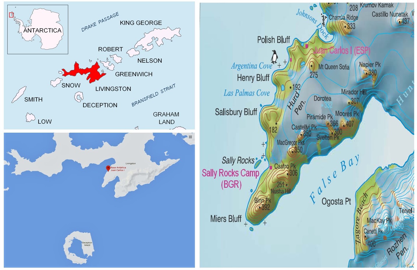 Qué se ve en general
Composición de tres mapas sobre fondo claro. Dos mapas pequeños están a la izquierda (uno arriba y otro abajo) y un mapa grande ocupa toda la parte derecha. La composición sirve para situar la isla Livingston, la Base Antártica Española Juan Carlos I y el pico Castellví.

1) Mapa superior izquierdo (visión regional)

Mapa esquemático con el título “ANTARCTICA” en un recuadro pequeño, donde se marca con un punto o cuadro rojo la zona aproximada del archipiélago cercano a la península Antártica.
En el mapa principal se muestran varias islas con sus nombres en mayúsculas: LIVINGSTON, GREENWICH, ROBERT, NELSON, KING GEORGE, SNOW, SMITH, LOW y DECEPTION.
La isla Livingston aparece destacada en rojo, mientras el resto está en blanco. También se leen nombres de mares o pasos: “DRAKE PASSAGE” y “BRANSFIELD STRAIT”.

2) Mapa inferior izquierdo (zoom en la isla)

Mapa sencillo con mar en azul y la isla Livingston en blanco.
Sobre la isla aparece un marcador rojo tipo chincheta con una etiqueta que señala la “Base Antártica Juan Carlos I” (texto pequeño). En la parte inferior se ve otra isla circular o en forma de anillo, etiquetada como Deception Island.

3) Mapa grande de la derecha (detalle topográfico de la zona)

Mapa topográfico en tonos verdes, marrones y azules, con líneas de contorno y números de altitud. Representa una península de la isla Livingston (aparece el texto curvado “Hurd Pen”, abreviatura de península Hurd) y una bahía con el nombre grande “False Bay”.
Se marcan accidentes costeros y montes, por ejemplo Henry Bluff, Salisbury Bluff, Sally Rocks, Napier Pk, Moores Pk, y varios otros nombres.

En el interior del mapa, cerca de un conjunto de curvas de nivel, aparece la etiqueta “Castellvi Pk 350”, indicando el Pico Castellví con altitud 350 metros.
También se ve señalado “Juan Carlos I (ESP)” cerca de la costa, indicando la ubicación de la Base Antártica Española Juan Carlos I.
En la zona izquierda-media aparece el texto “Sally Rocks Camp (BGR)”, señalando un campamento.
En la parte superior derecha del mapa se lee “Johnsons Dock”. En el mapa hay símbolos pequeños (cruces y un icono de pingüino) que marcan puntos de interés.